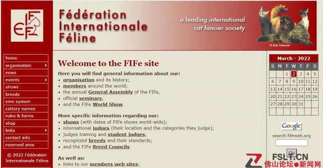 猫科动物国际联合会宣布，制裁俄罗斯的猫