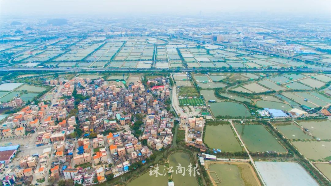 顺德知味丨顺德鱼生的古典之美(图2) 顺德知味丨顺德鱼生的古典之美(图2)